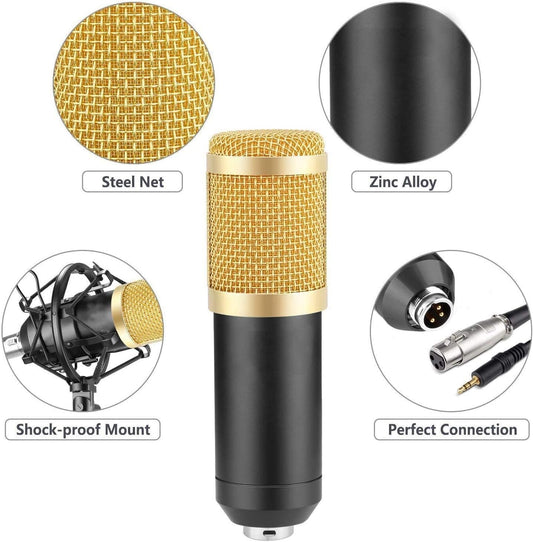 3.1 Professional Condenser Microphone Kit – Rechargeable Podcast, Karaoke & YouTube Recording Mic Set